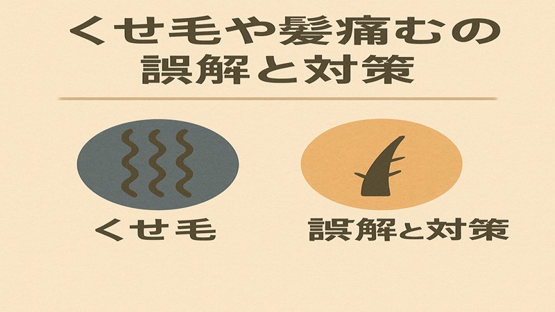 くせ毛や髪痛むの誤解と対策