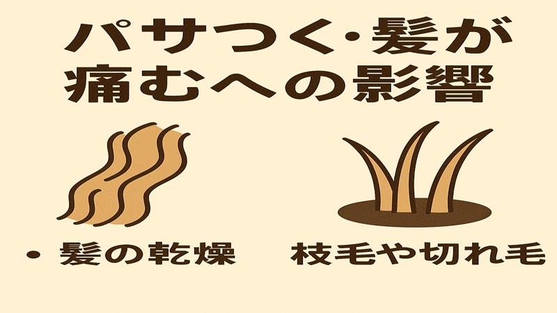 パサつく。髪が痛むへの影響