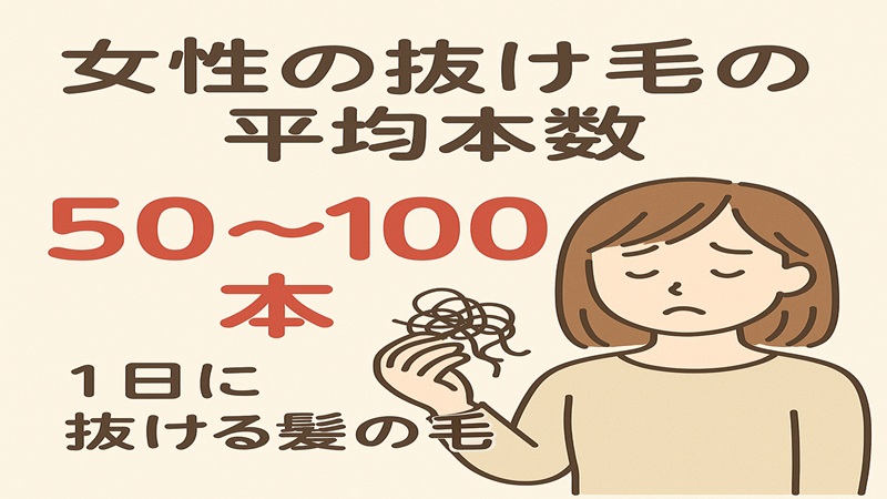 女性の抜け毛の平均本数